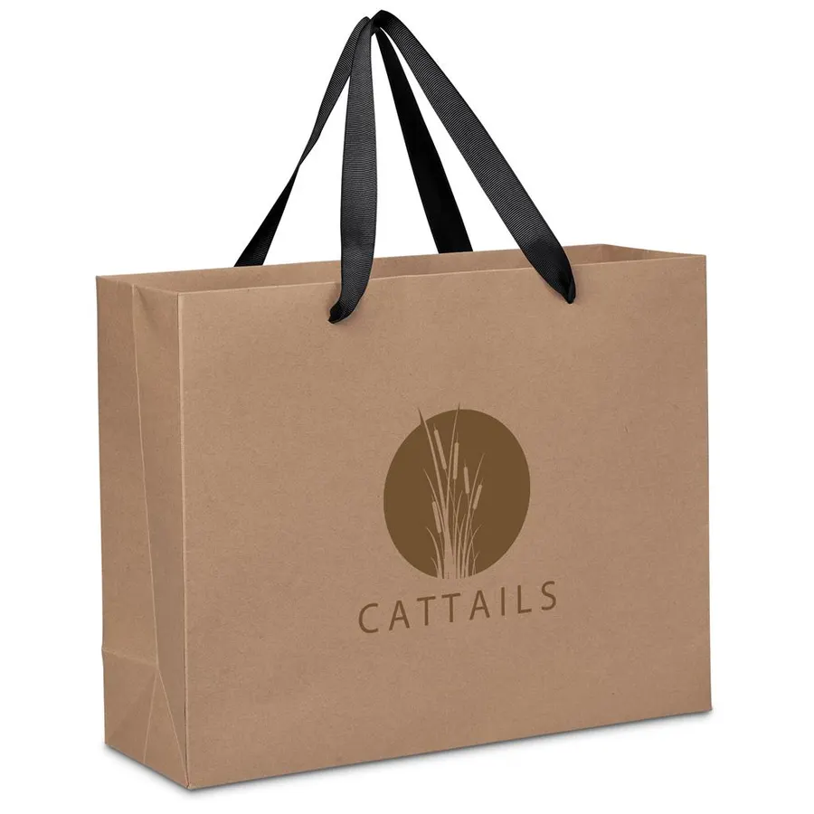 Altitude EcoElite Midi Paper Gift Bag