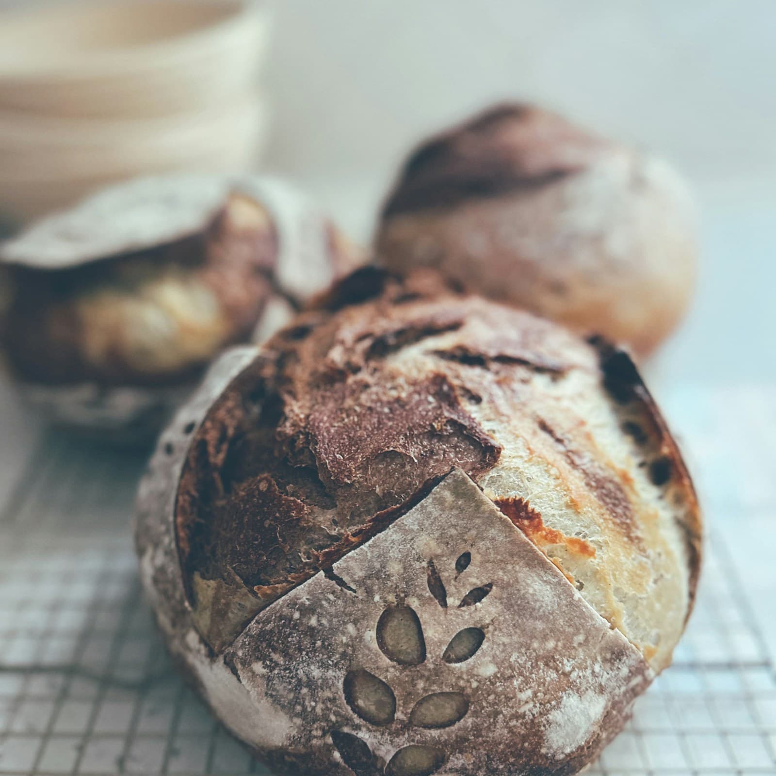 Artisan Sourdough Loaf
