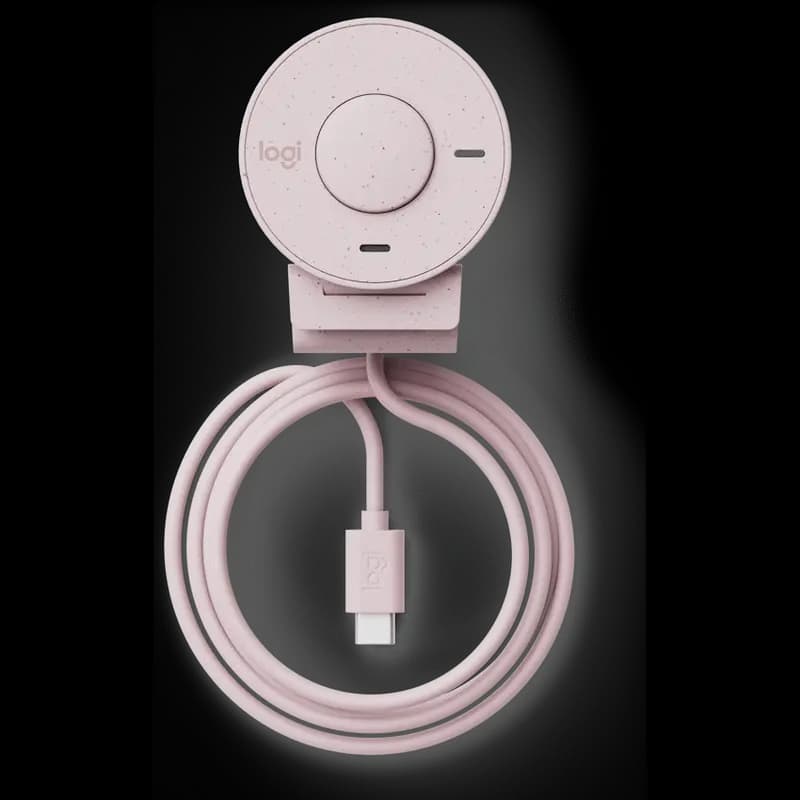 Logitech(R) Brio 300 Full HD Webcam - Rose